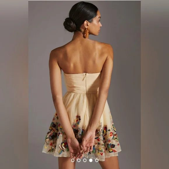 NWT Nikita Mhaisalkar Beige Beaded Embroidered Dress Size 4 ANTHROPOLOGIE - Picture 2 of 11